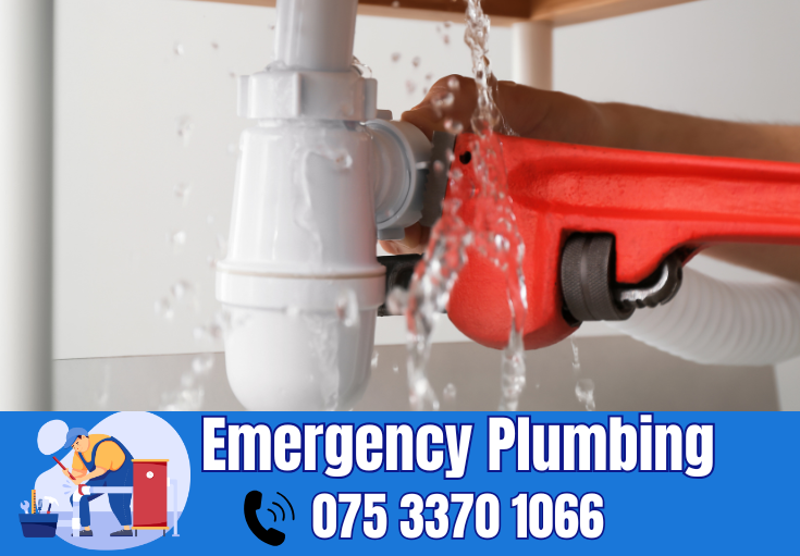  plumber Gravesend